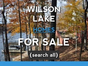 wilson lake waterfront homes for sale