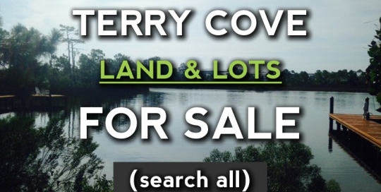 Orange Beach Lots for Sale on Terry Cove